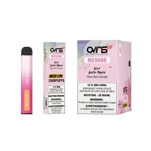 [ON] OVNS MESH08 2500K Disposable Vape - 10ct