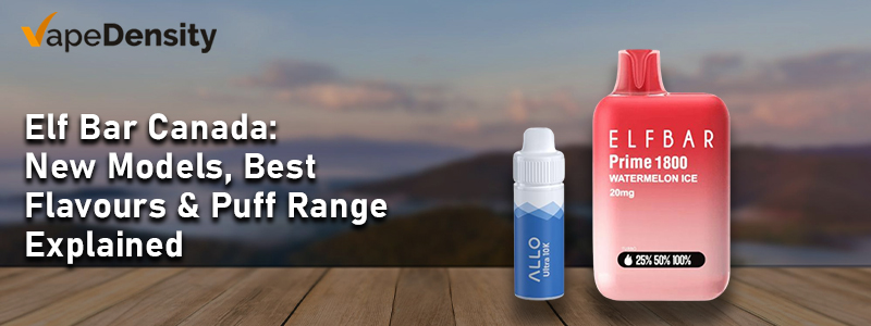 Elf Bar disposable review 